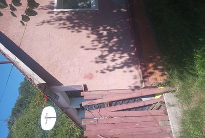 Casă cu 2 camere în Odvoș - 2