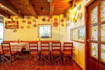 Casă cu 9 camere cu Teren 888 Mp în Sohodol - 26