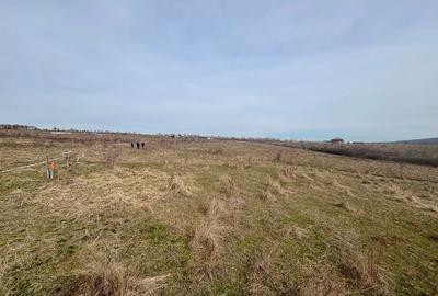 Teren Construcții intravilan de 802 mp, în Pișchia - 4