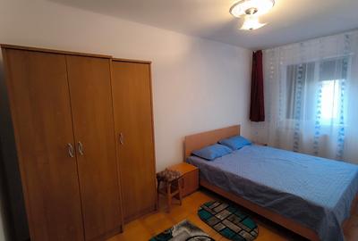 Zona Sagului-Turist, centrala proprie, mobilat, utilat - 7