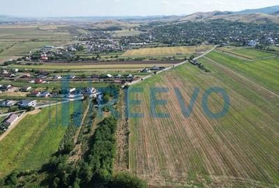 Teren de vanzare, Com. Sarata, Jud. Bacau - 3