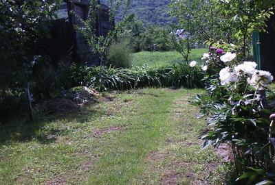 Vand teren intravilan de 12 ari - cu casa (nelocuibila) + curte + gradina - Nasaud, Bistri?a-Nasaud Vand teren intravilan de 12 ari - cu casa (nelocuibila) + curte + gradina - Nasaud, Bistri?a-Nasaud - 3