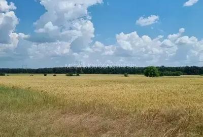 Teren intravilan de 428.98999023438 mp, în Vadu Anei - 6