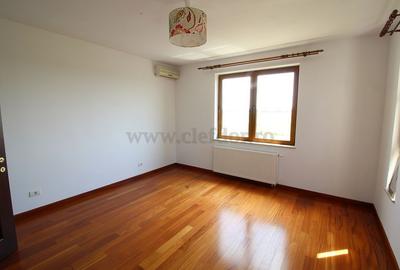 Vila renovata in apropiere de Iancu Nicolae - 11