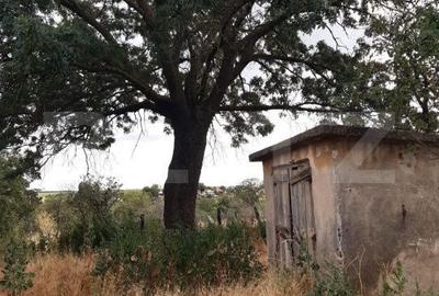 Casă cu 4 camere cu Teren 1008 Mp în Bucovăț