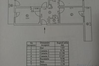 Apartament spatios Gradina Publica - 5