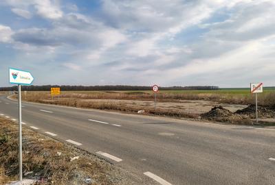Teren intravilan la asfalt si statie autobuz Ilfov Cernica Posta - 4