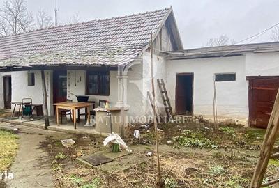 Casă cu 4 camere în Santăul Mare - 10