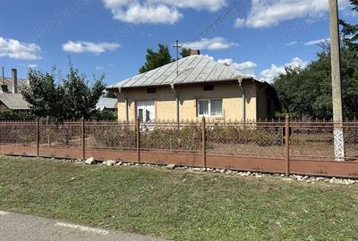 Casă cu Teren 1627 Mp în Colibași - 4