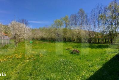 Casă cu 2 camere în Valea Scurtă - 8