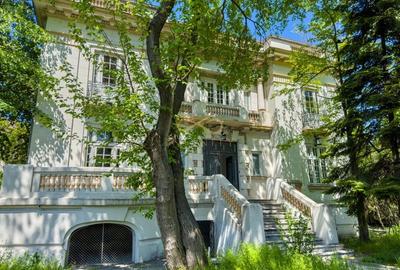 Casa Kiseleff | 15 camere | Arcul de Triumf - 3