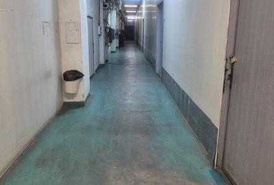 Spațiu industrial, de 270 mp, în Theodor Pallady - 10
