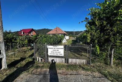 Casă cu 2 camere cu Teren 3000 Mp în Ciofrângeni - 4