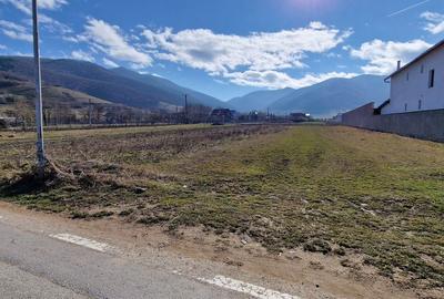 Teren de 1450 mp, în Gura Râului - 3