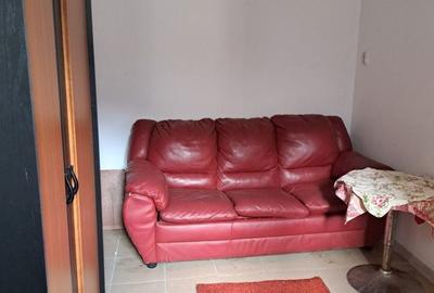 Apartament decomandat în Valea Rusului