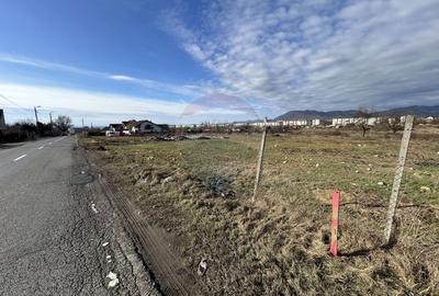 Teren Construcții intravilan de 1330 mp, în Exterior Sud - 2