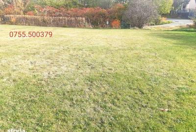 Teren de 700 mp, în Ciurila - 1