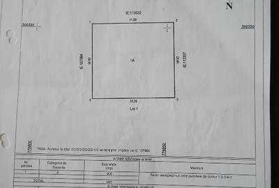 Teren agricol intravilan de 900 mp, în Valu lui Traian - 1