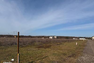 Spațiu comercial, în Brănești - 1