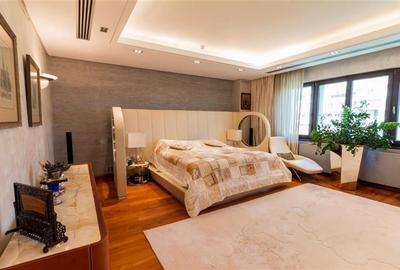 Apartament cu 8 camere decomandat în Herăstrău - 21