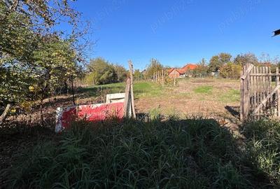 Casa cu teren generos de 1.400 mp de vanzare in Ineu, zona Colonie Ideala pentru investi?ie! - 6