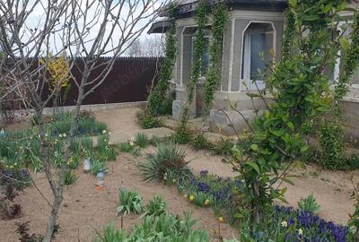 Casă cu 5 camere în Spiru Haret - 4