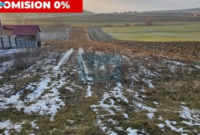 Teren de 4300 mp, în Gâdinți - 1