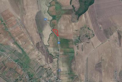 Teren de 28500 mp, în Dobrovăț - 3