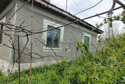 Casă cu 3 camere în Mogoșești - 1