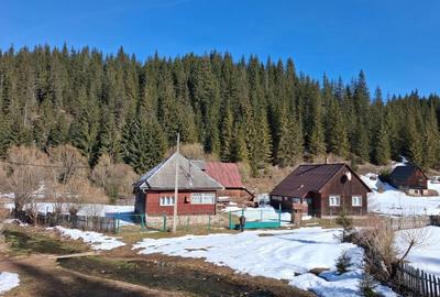 Spațiu comercial, în Poiana Horea - 8