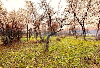 DE VANZARE LOCATIE SUPERBA - 2