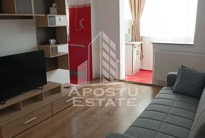 Apartament cu 3 camere semidecomandat, mobilat în Dacia - 6