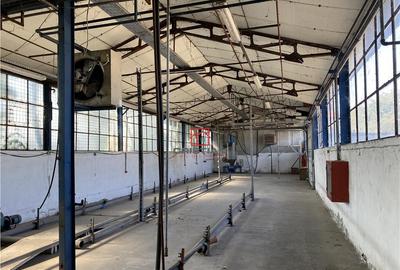 Hala/depozit/spatiu industrial Giurgiului - Ferentari - 5