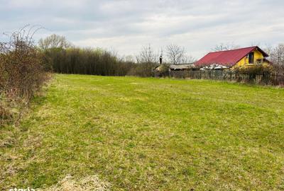 Spațiu comercial, în Bună Ziua