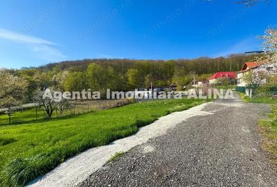 Teren de 7257 mp, în Vulcan - 9