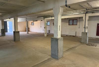Spațiu industrial, de 1,725 mp, în Giarmata - 17