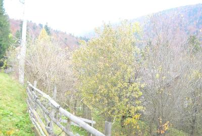 Busteni-Teren intravilan situat in Valea Alba in apropiere de partie - 1