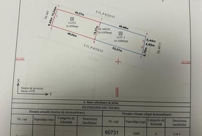 Teren Construcții intravilan de 959 mp, în Cernica - 2