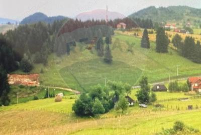 Teren de vis in Fundata 3868mp, la inal?imea sufletului tau - 3