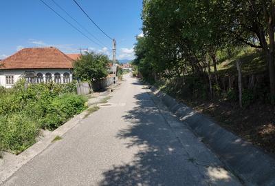 TEREN INVESTITIE ARGES - LANGA CURTEA DE ARGES TEREN INVESTITIE ARGES - LANGA CURTEA DE ARGES - 1