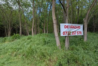 Teren de 3057 mp, în Bujoreni - 4