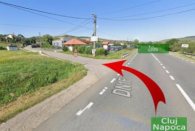 Teren Construcții intravilan de 2900 mp, în Mera - 4