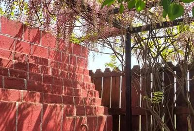 Particular vand casa Adunatii Copaceni - 2