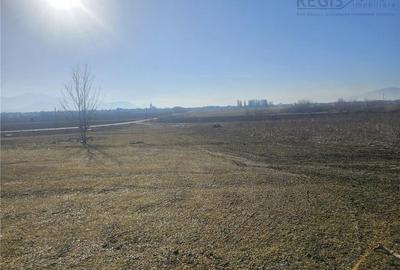 Teren extravilan de 908 mp, în Sânpetru - 3