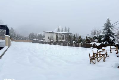 Teren de 800 mp, în Făget - 4