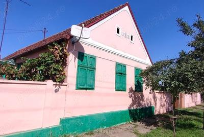 Casă cu 4 camere cu Teren 3000 Mp în Alioș - 9