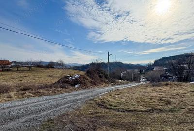 Teren de 24381 mp, în Central - 8