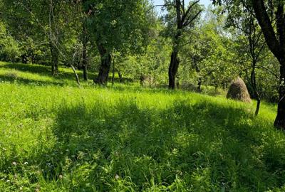 Casă cu 3 camere în Secăria - 1