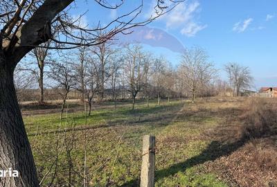 Teren de 2300 mp, în Vânători - 1