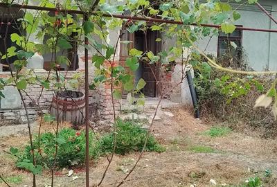 Casă în Tetoiu - 1